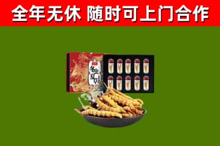 杞县回收冬虫夏草价格