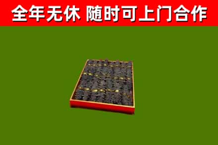 杞县回收海参